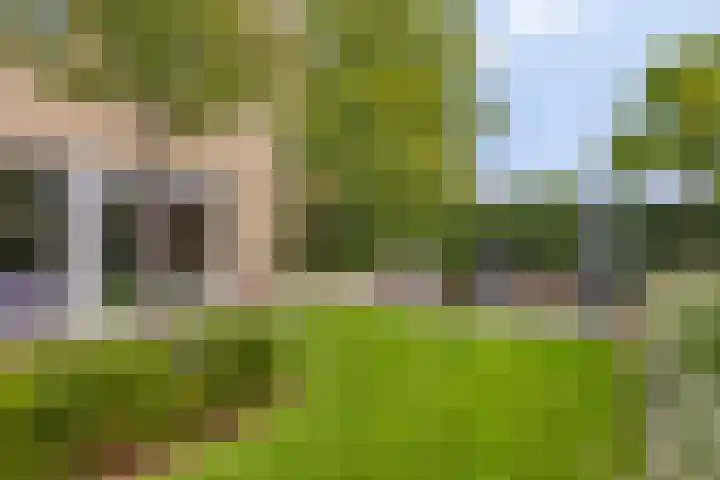 Kortfoortstraat 2 Oss thumbnail 4