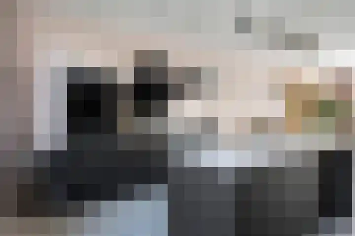 Kortfoortstraat 2 Oss thumbnail 8