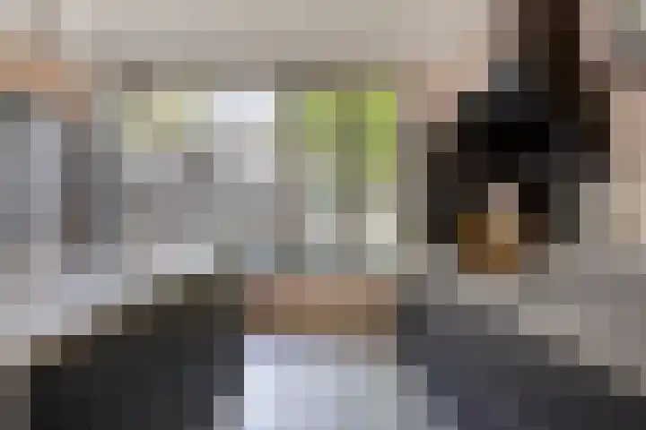 Kortfoortstraat 2 Oss thumbnail 9