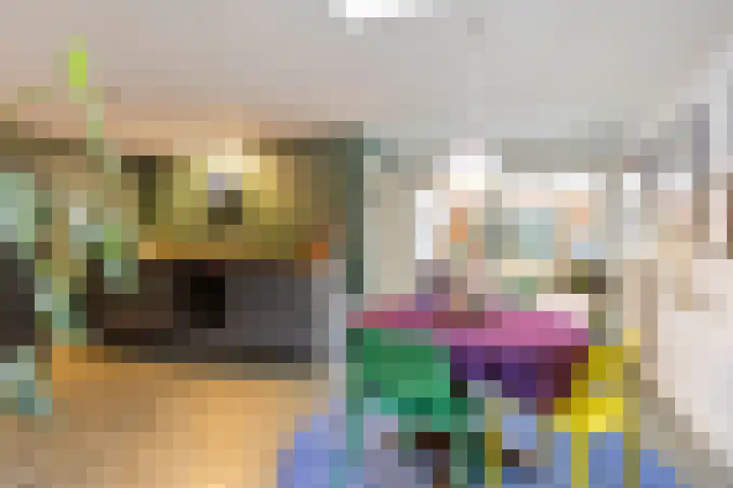 Kortfoortstraat 54 Oss thumbnail 13