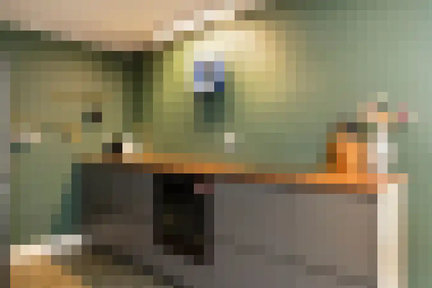 Kortfoortstraat 54 Oss thumbnail 16