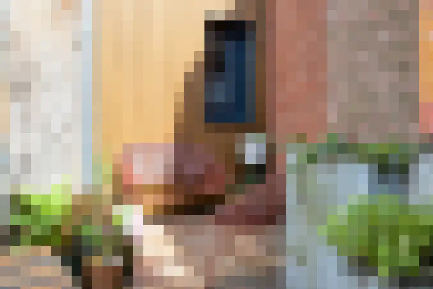 Kortfoortstraat 54 Oss thumbnail 27
