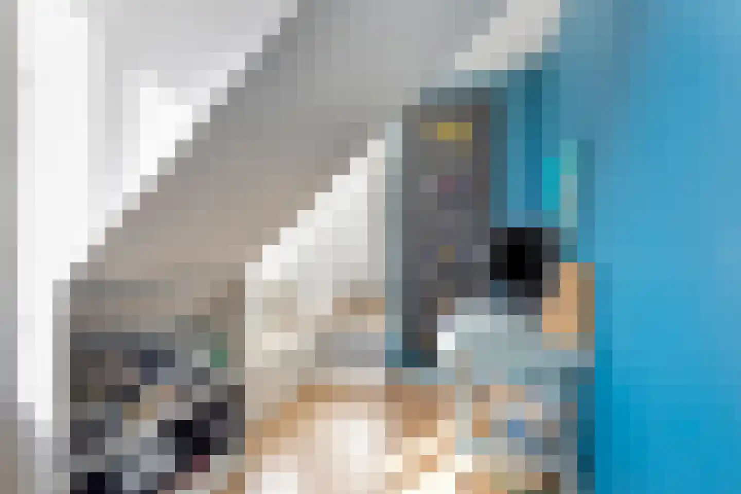 Kortfoortstraat 54 Oss thumbnail 42