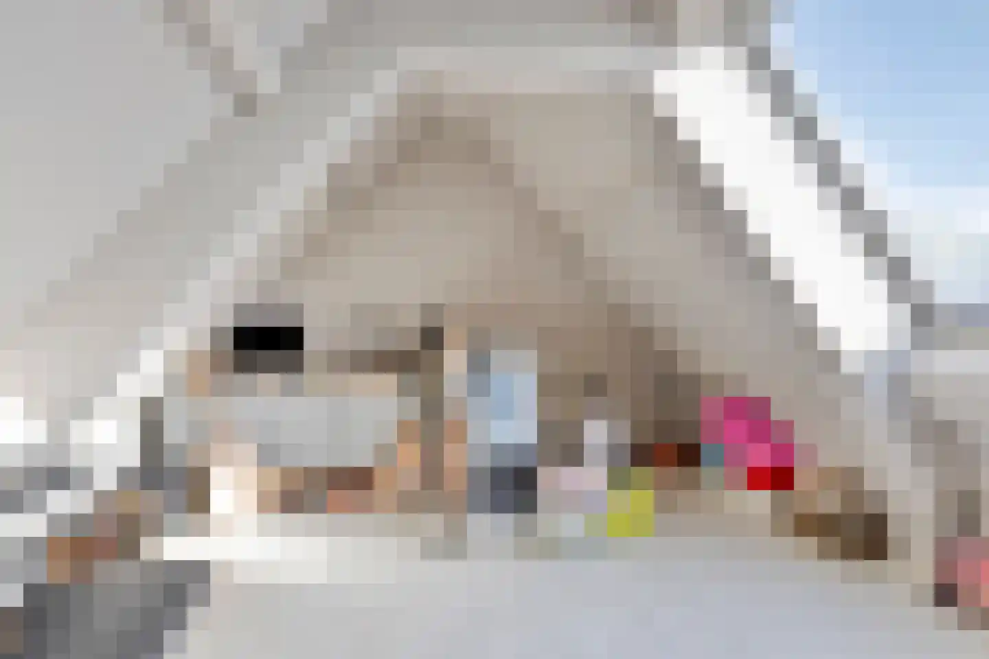Kortfoortstraat 54 Oss thumbnail 45