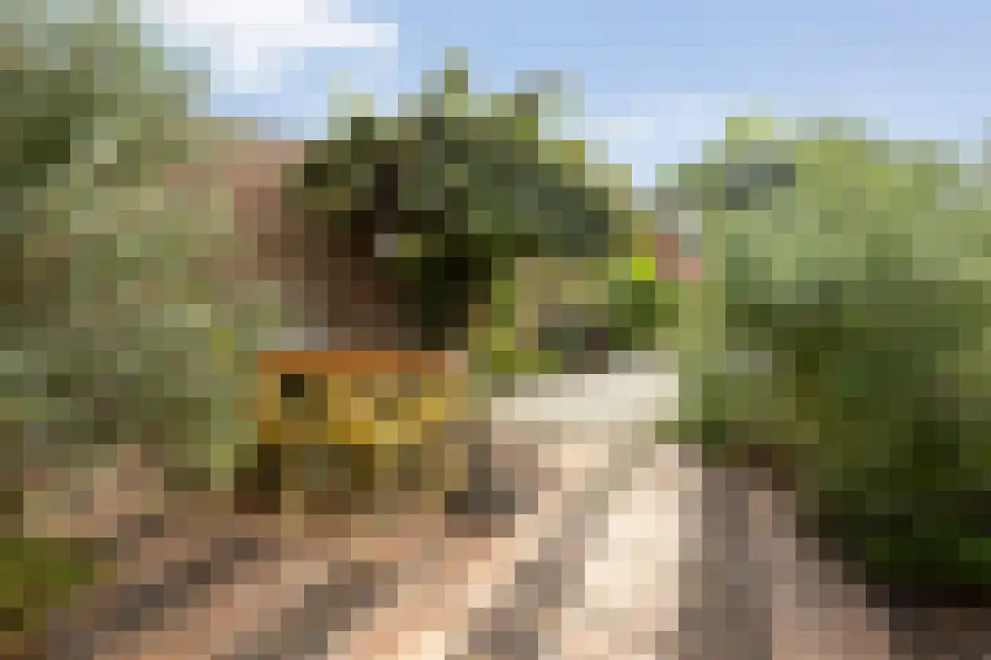 Kortfoortstraat 54 Oss thumbnail 5