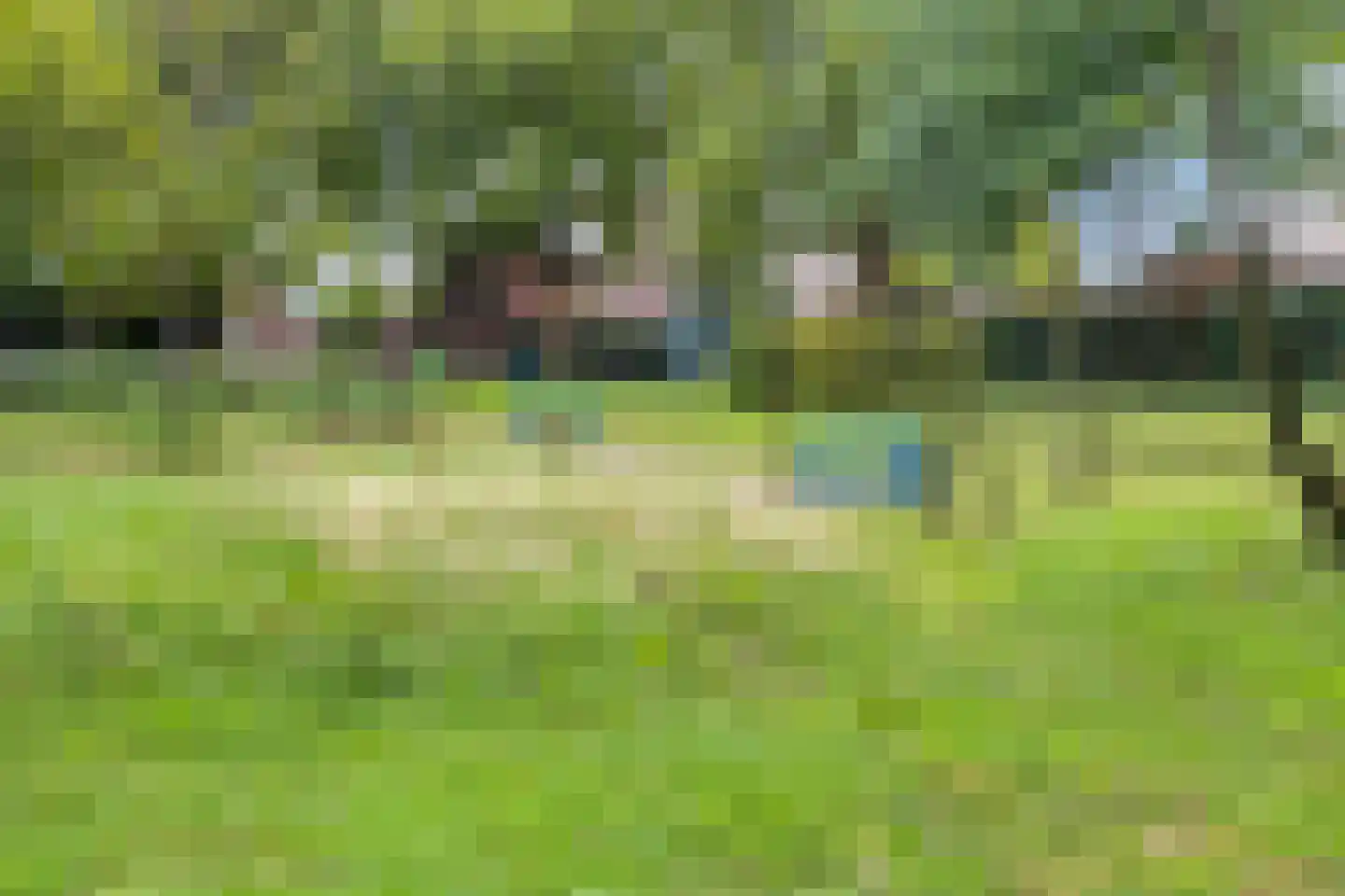 Kortfoortstraat 54 Oss thumbnail 51