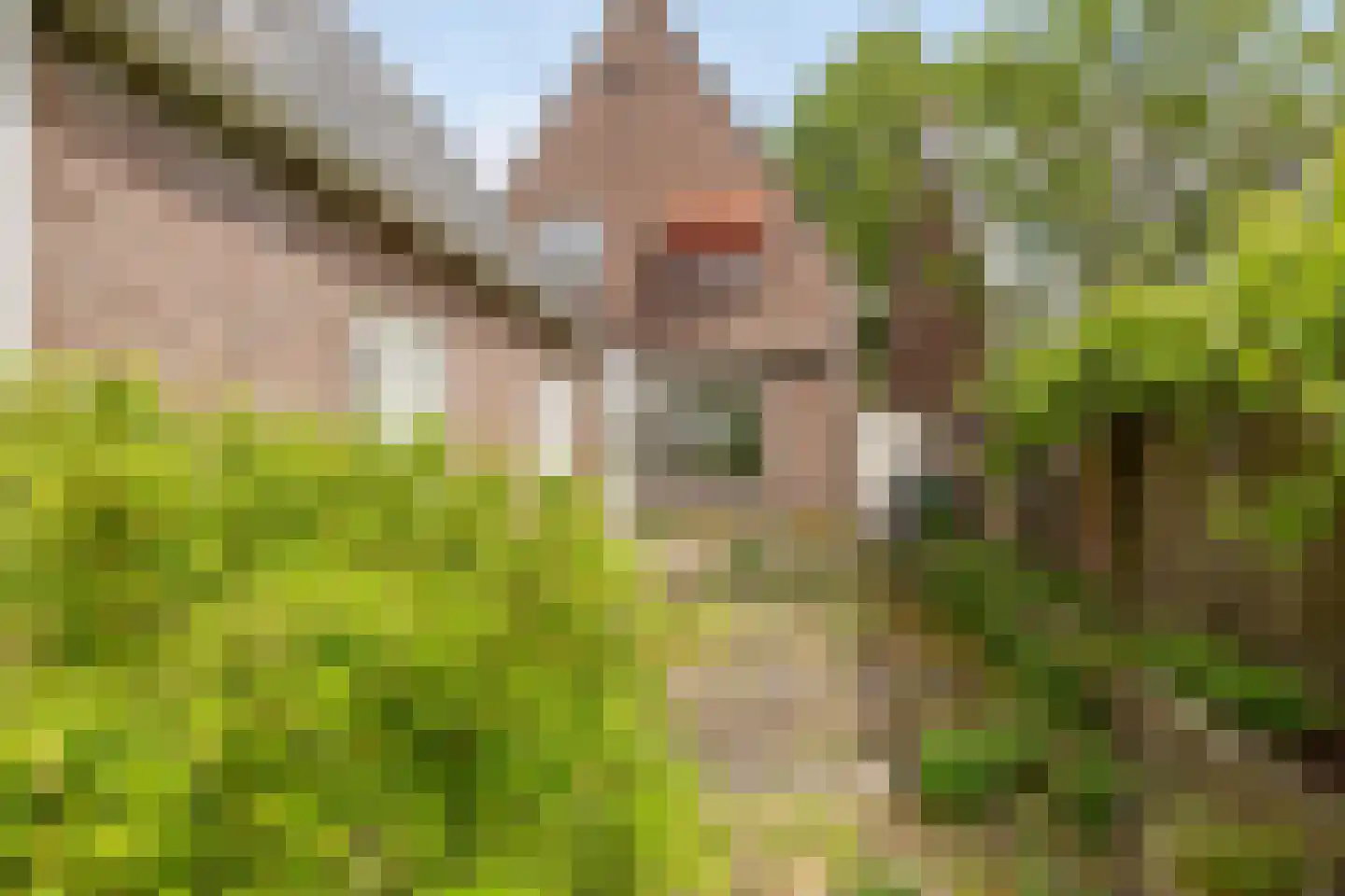 Kortfoortstraat 62 A Oss thumbnail 24