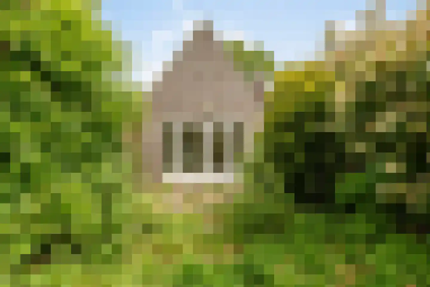 Kortfoortstraat 62 A Oss thumbnail 26