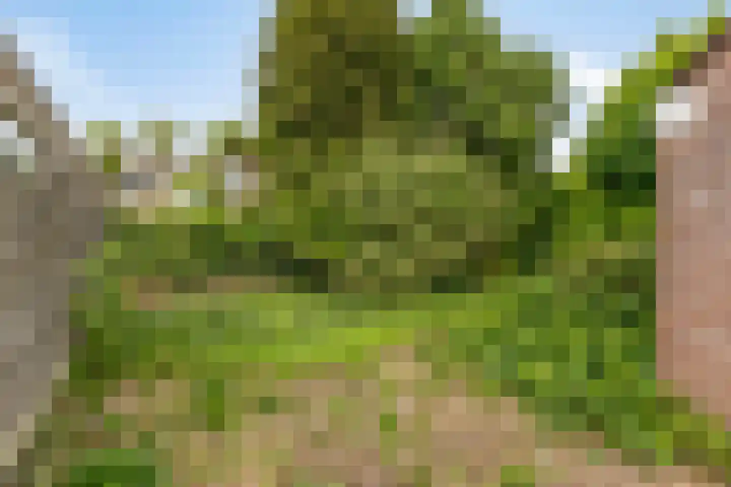Kortfoortstraat 62 A Oss thumbnail 28