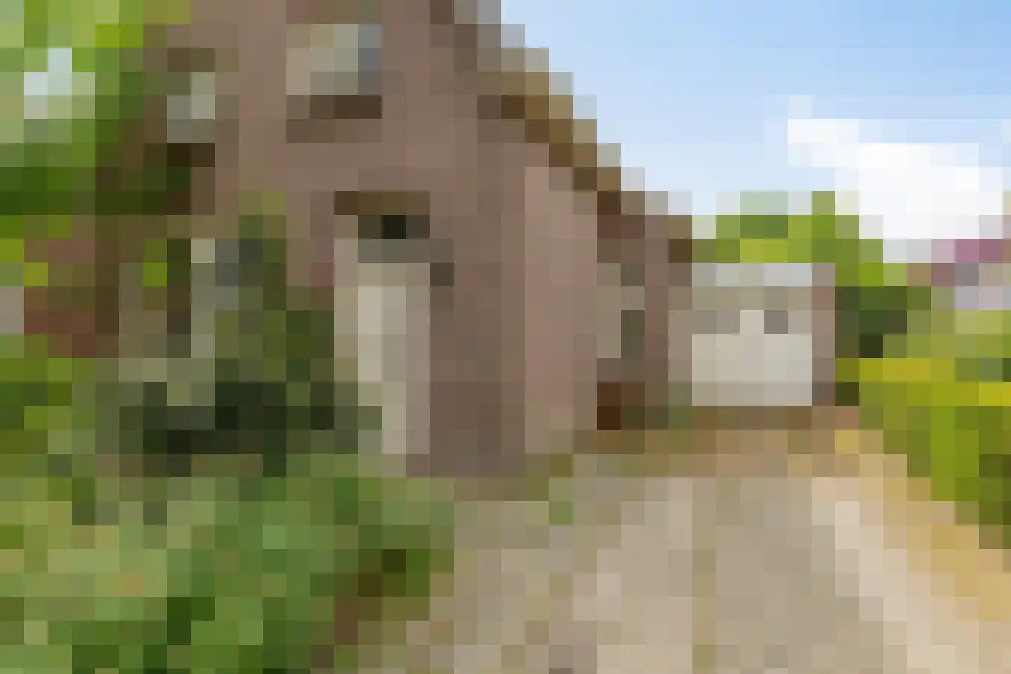 Kortfoortstraat 62 A Oss thumbnail 31