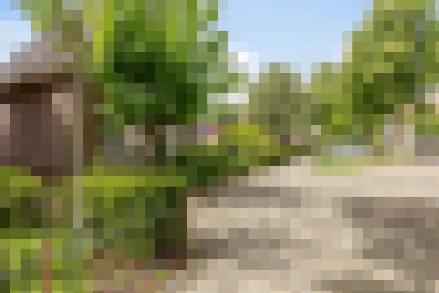 Kortfoortstraat 62 A Oss thumbnail 35