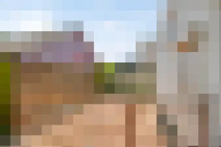 Kortfoortstraat 87 Oss thumbnail 25