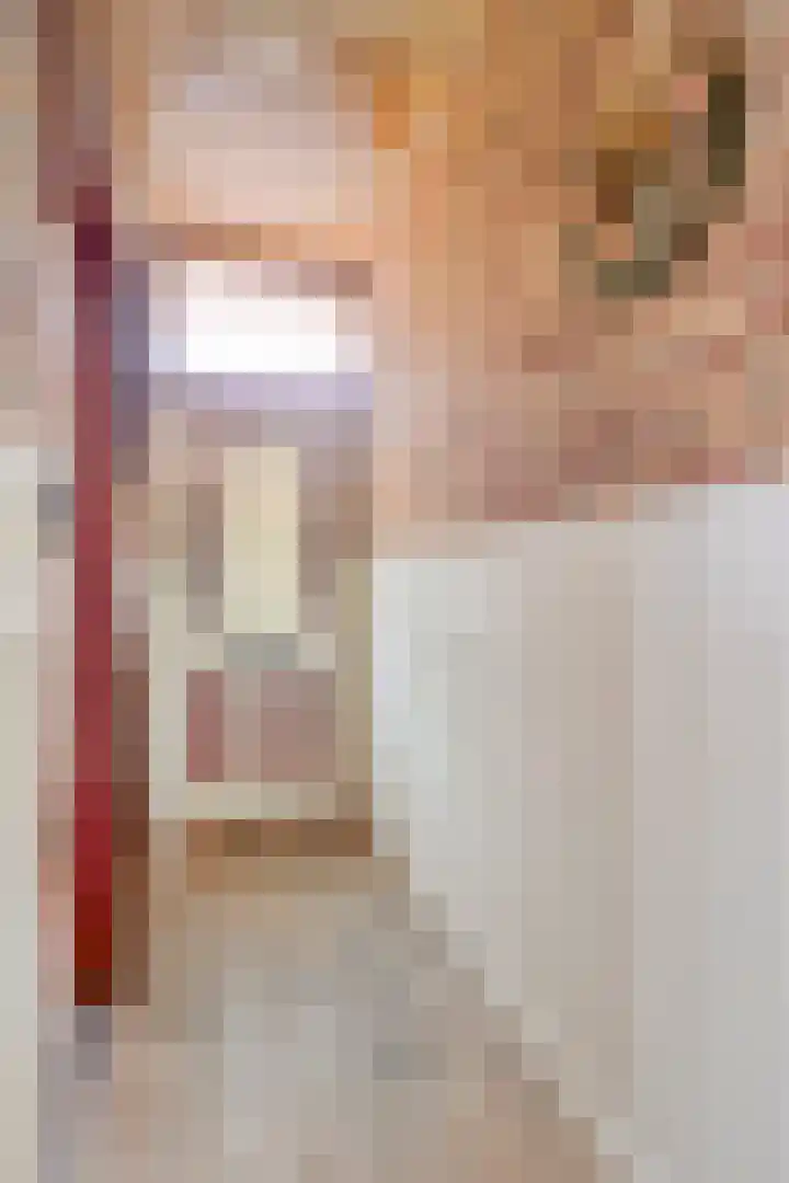 Kortfoortstraat 87 Oss thumbnail 6