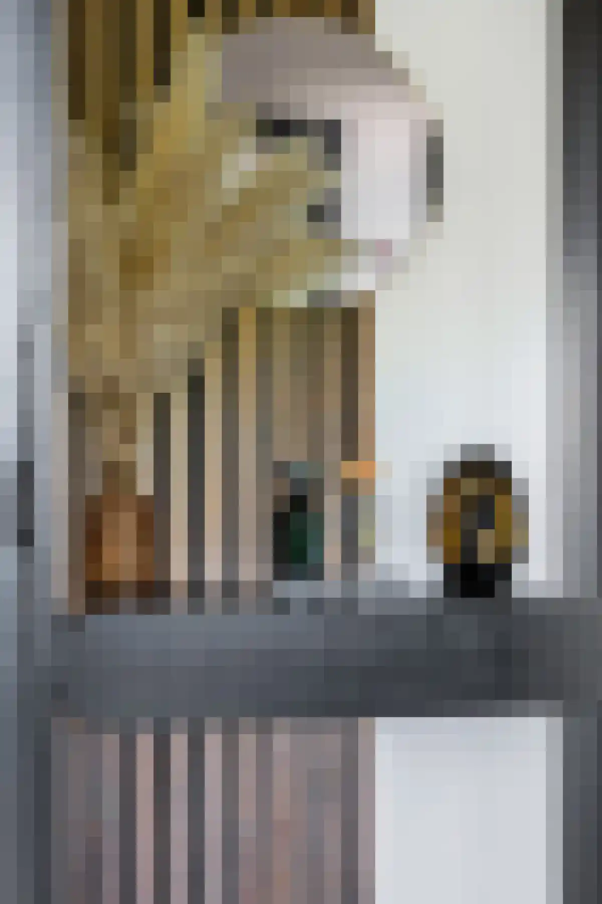 Kortgenestraat 103 Rotterdam thumbnail 19