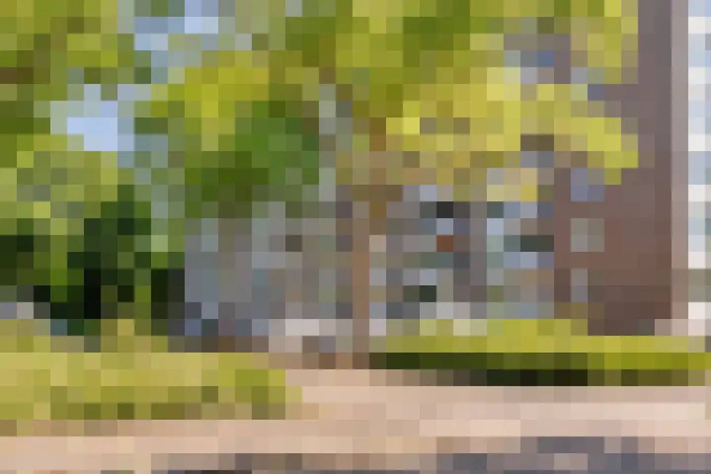 Kortgenestraat 103 Rotterdam thumbnail 33