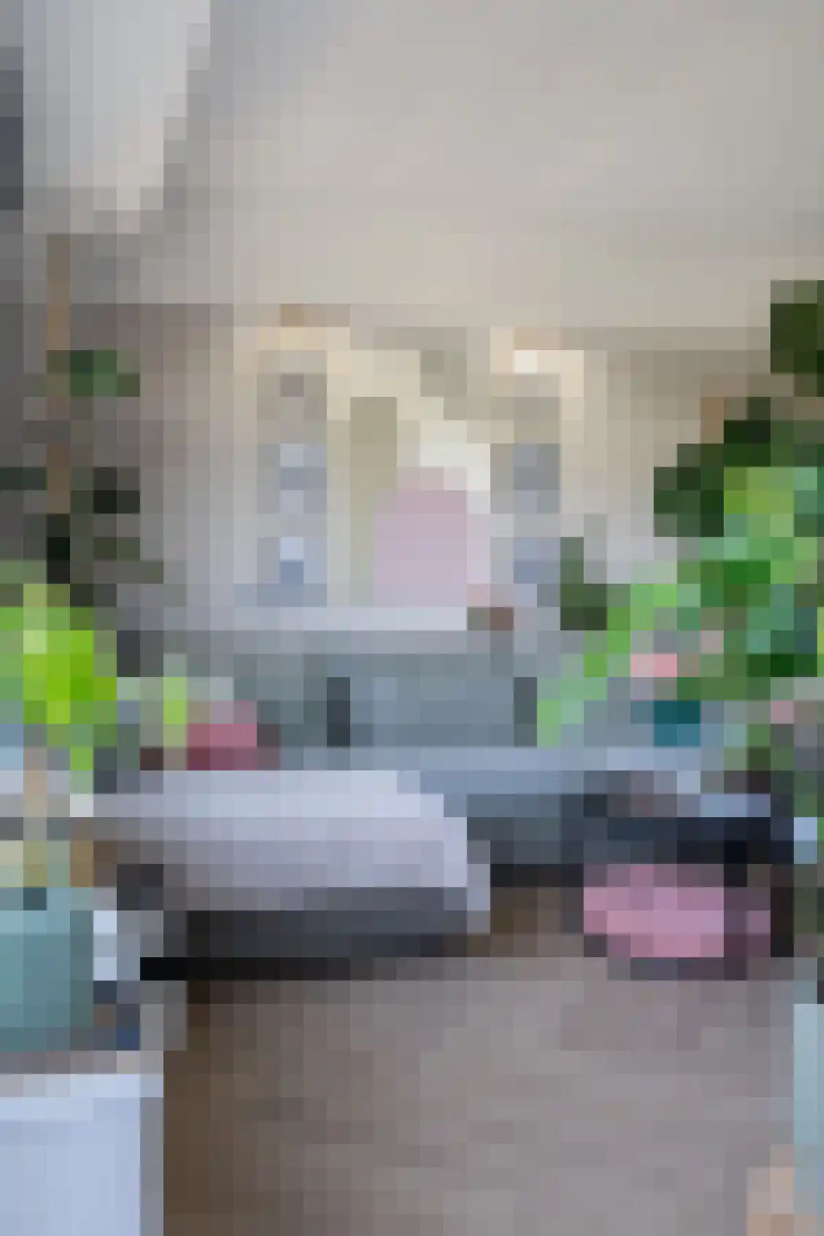 Kortgenestraat 103 Rotterdam thumbnail 6