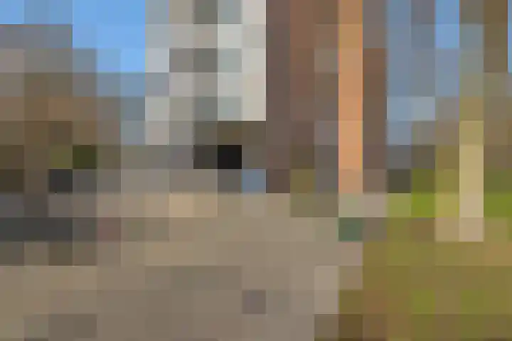 Kortgenestraat 123 Rotterdam thumbnail 7