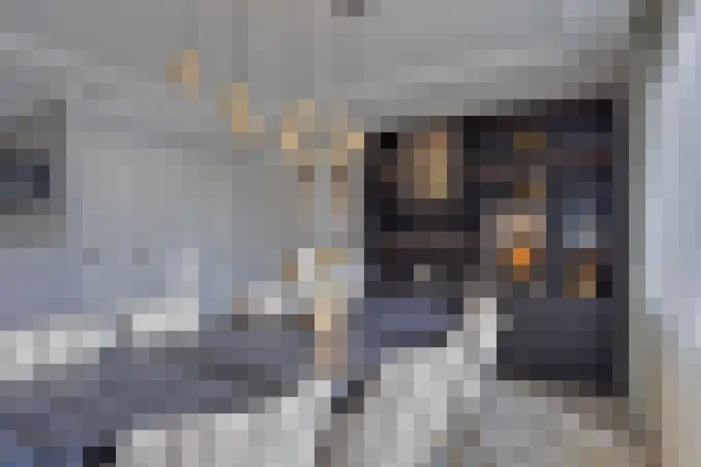 Kortgenestraat 209 Rotterdam thumbnail 27