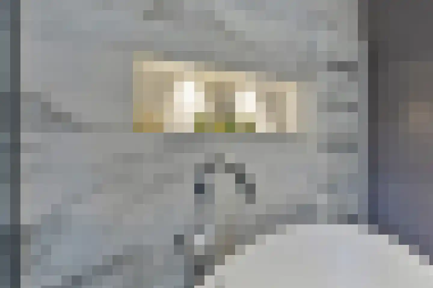 Kortgenestraat 209 Rotterdam thumbnail 33