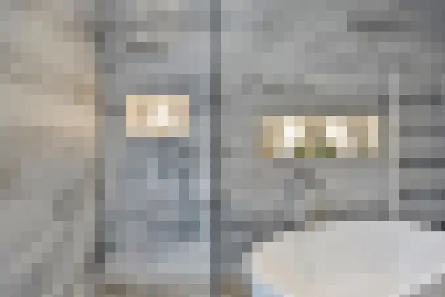Kortgenestraat 209 Rotterdam thumbnail 35