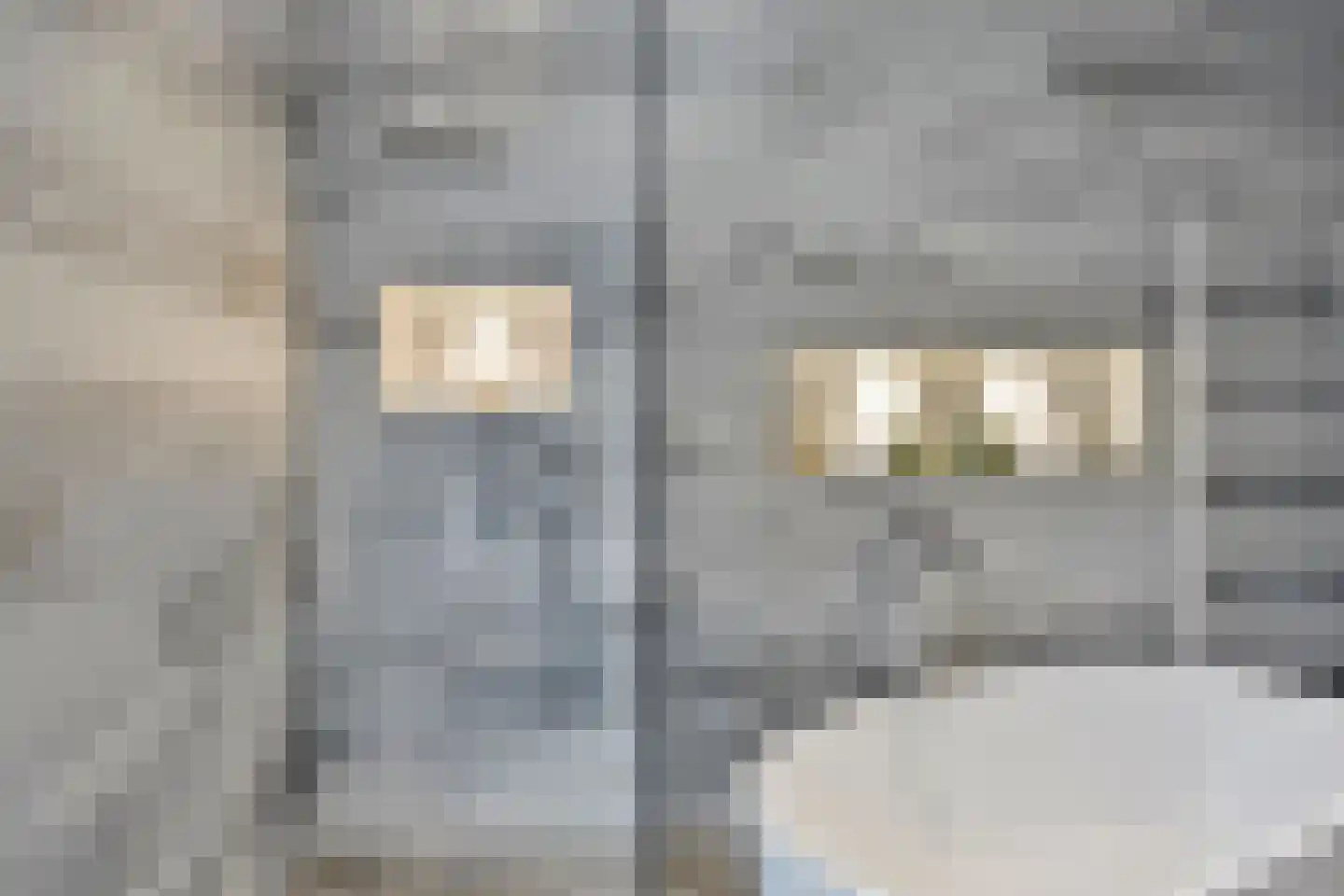 Kortgenestraat 209 Rotterdam thumbnail 36