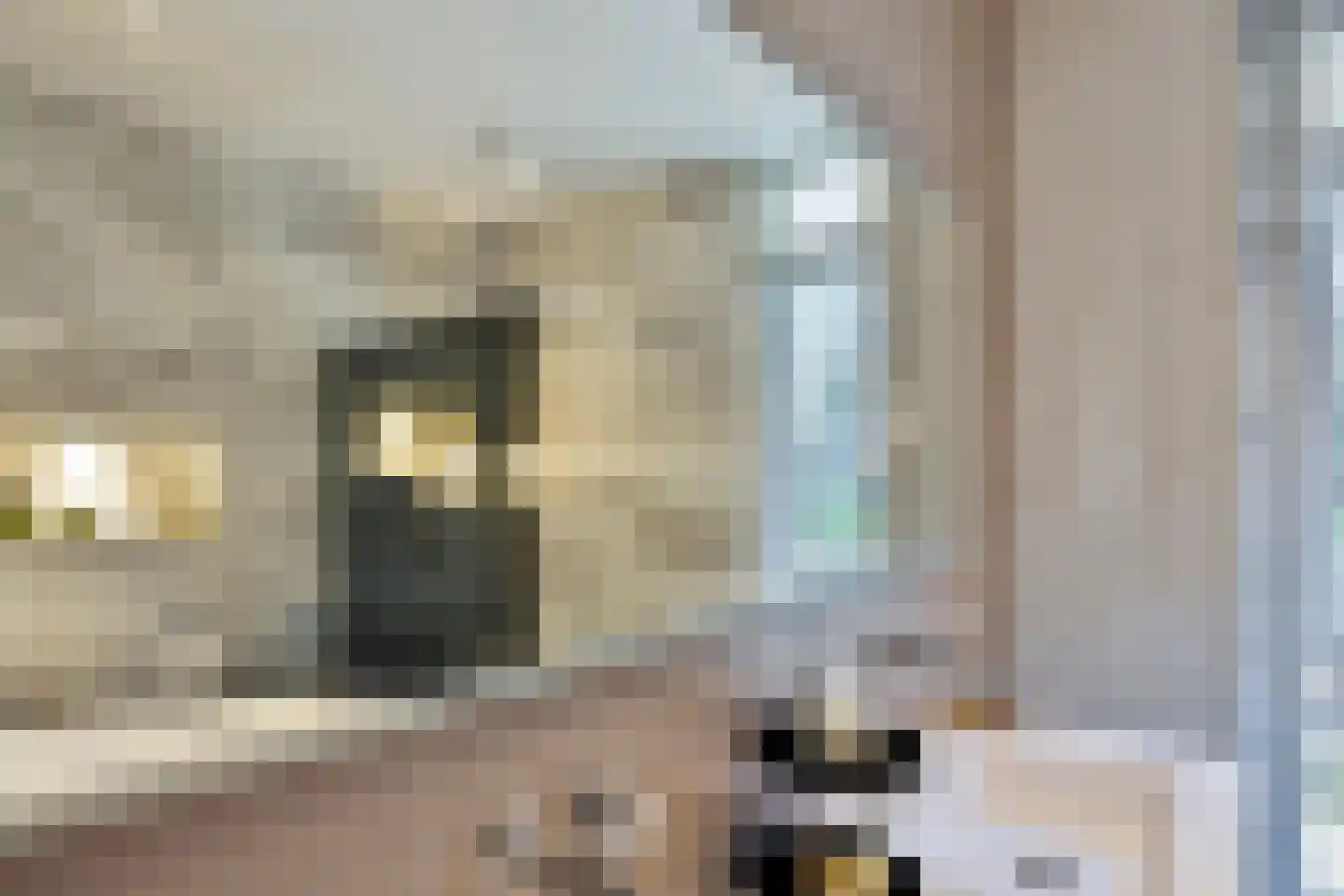 Kortgenestraat 209 Rotterdam thumbnail 38