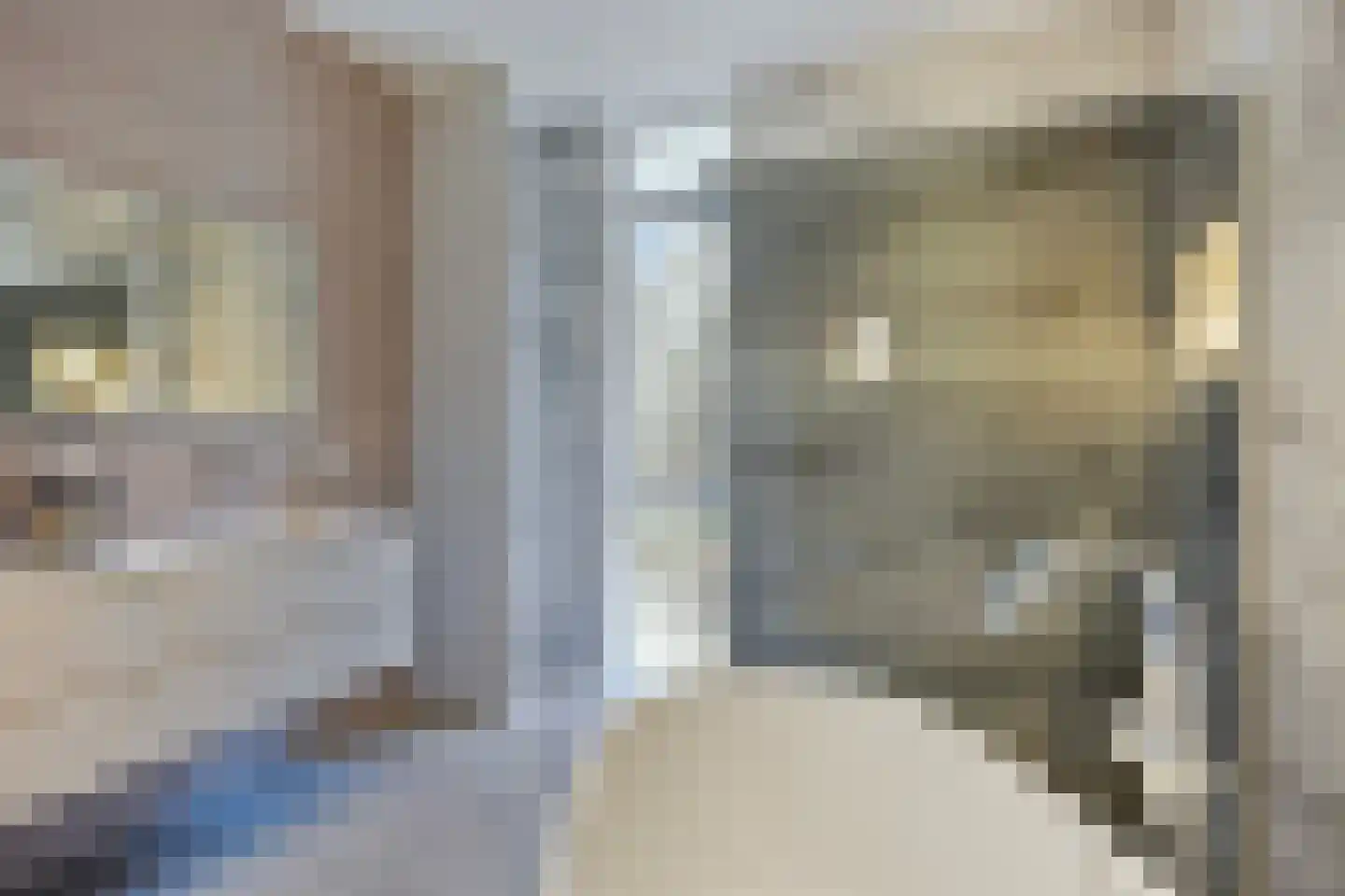 Kortgenestraat 209 Rotterdam thumbnail 39