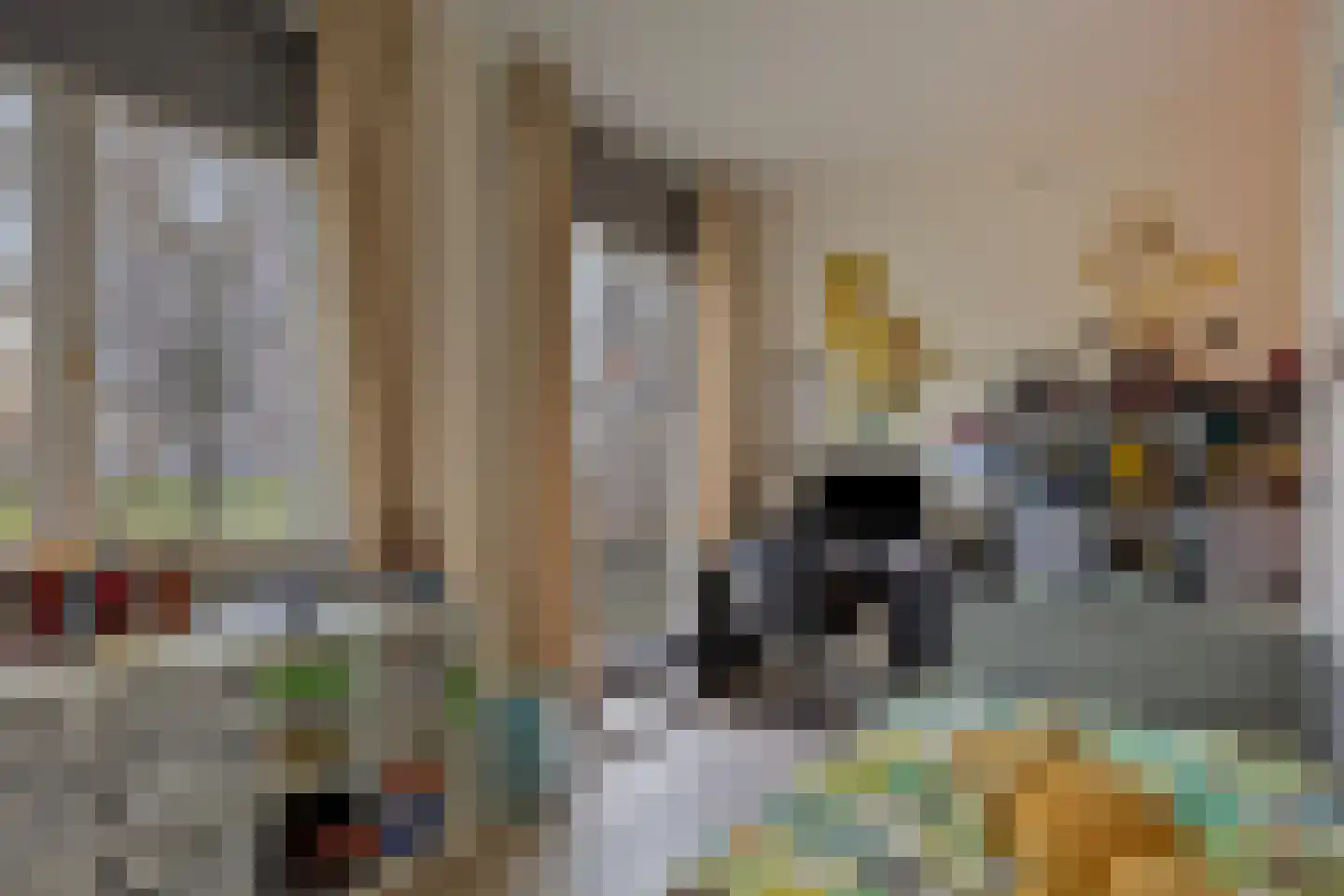 Kortgenestraat 209 Rotterdam thumbnail 48