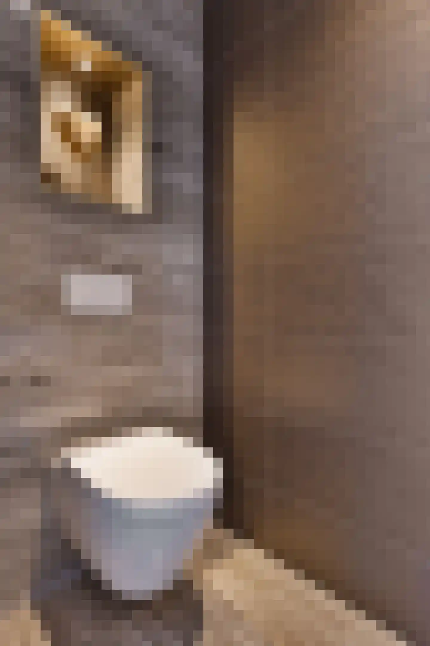 Kortgenestraat 209 Rotterdam thumbnail 7