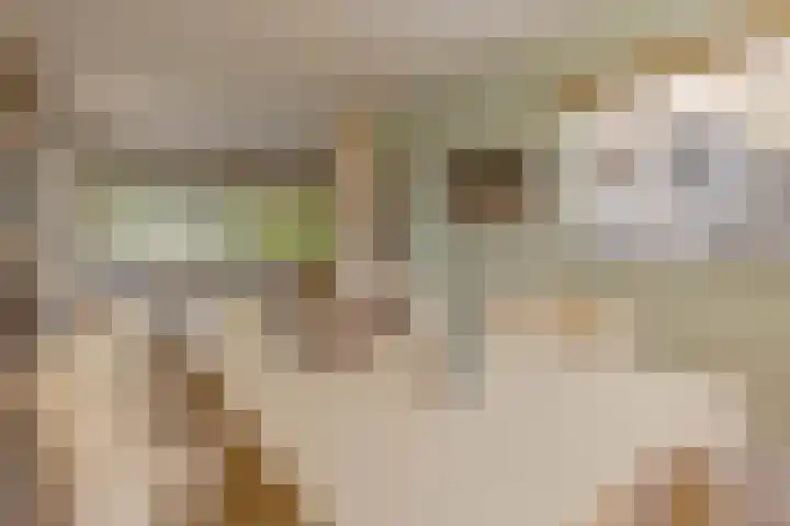 Kortgenestraat 24 Rotterdam thumbnail 12