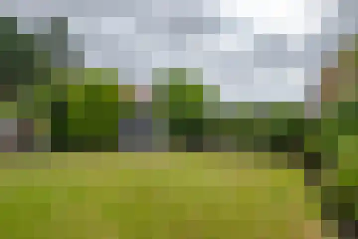 Kortgenestraat 24 Rotterdam thumbnail 5
