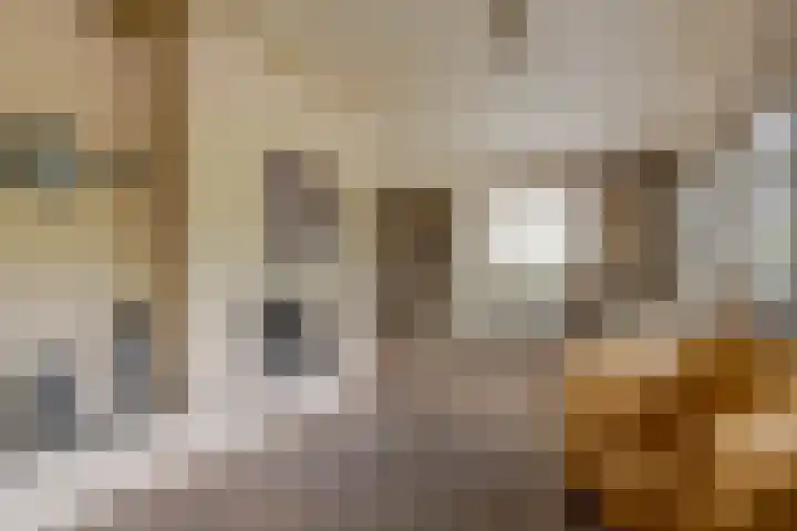 Kortgenestraat 24 Rotterdam thumbnail 9