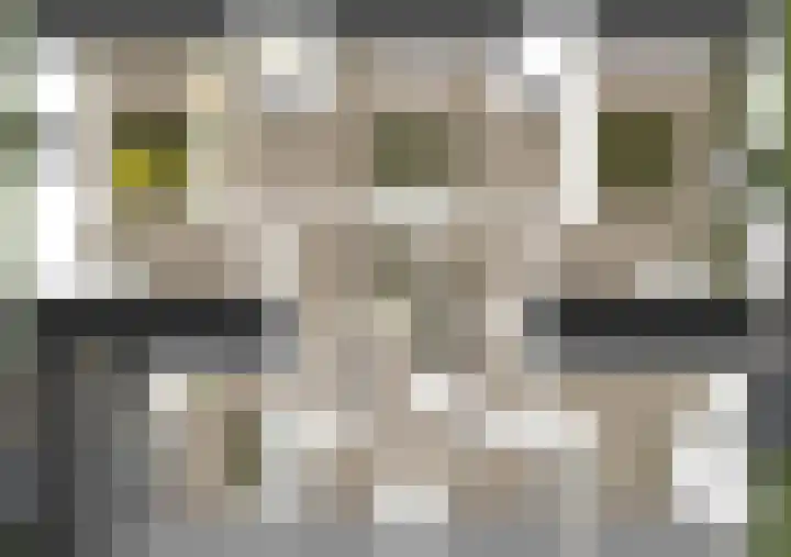 Kortgerecht 52 Schoonrewoerd thumbnail 20