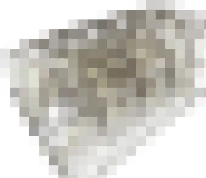 Kortgerecht 52 Schoonrewoerd thumbnail 21