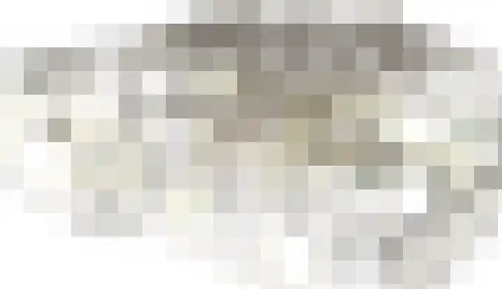 Kortgerecht 52 Schoonrewoerd thumbnail 22