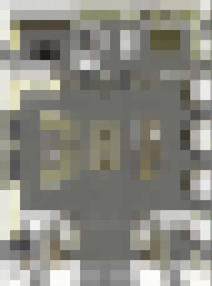 Kortgerecht 52 Schoonrewoerd thumbnail 9