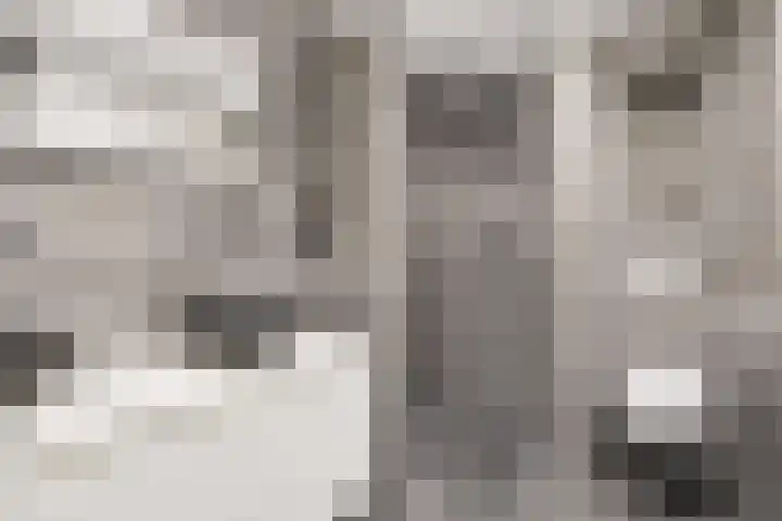 Kortgevel 13 Uden thumbnail 31