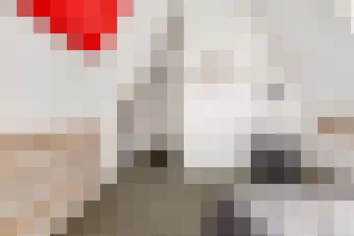 Kortgevel 13 Uden thumbnail 35