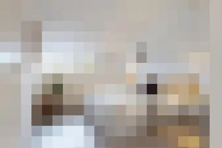 Kortland 1 Vleuten thumbnail 12