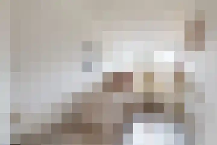 Kortland 1 Vleuten thumbnail 14