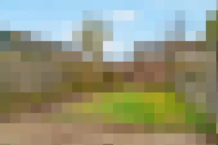 Kortland 1 Vleuten thumbnail 27