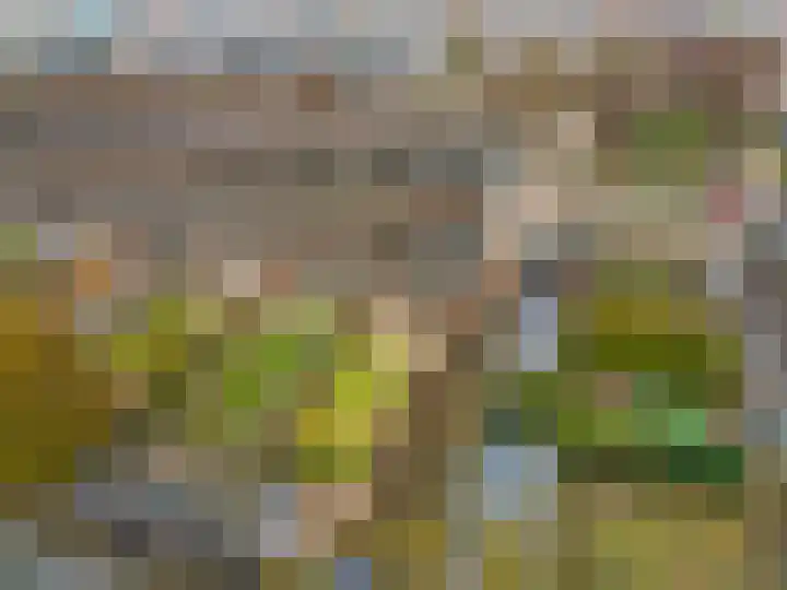 Kortland 1 Vleuten thumbnail 29