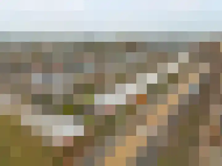 Kortland 1 Vleuten thumbnail 33