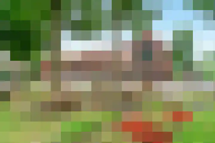 Kortland 1 Vleuten thumbnail 38