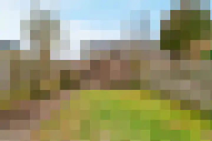 Kortland 1 Vleuten thumbnail 4