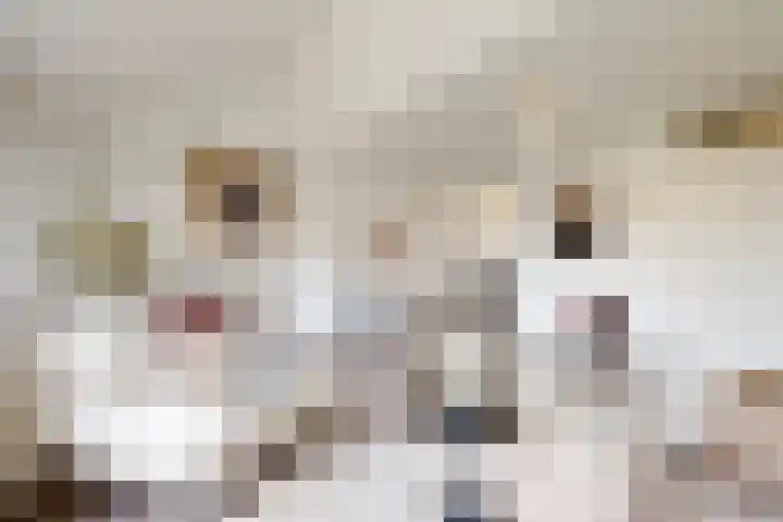 Kortland 1 Vleuten thumbnail 7