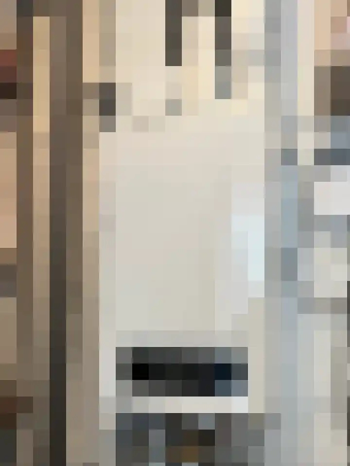 Kortland 2 A Lopikerkapel thumbnail 23