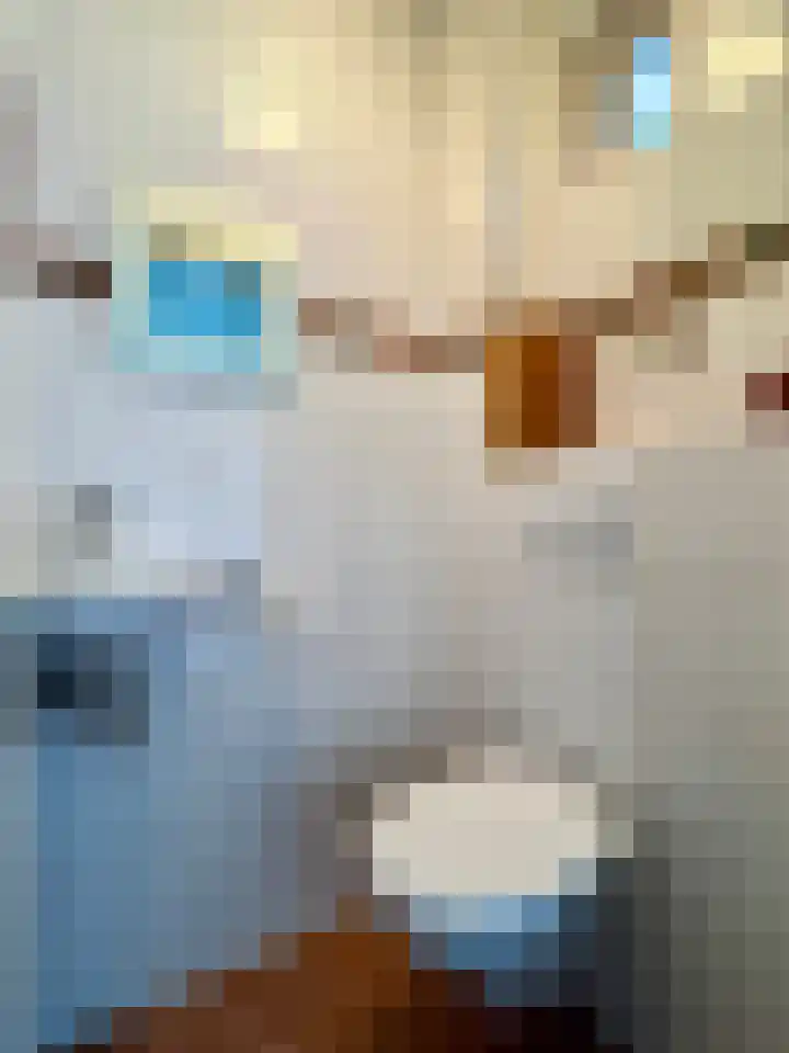 Kortland 2 A Lopikerkapel thumbnail 31