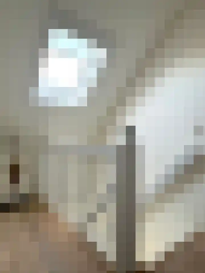 Kortland 2 A Lopikerkapel thumbnail 33