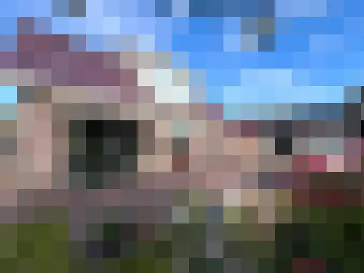 Kortland 2 A Lopikerkapel thumbnail 48